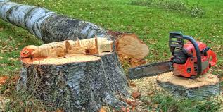 Best Utility Line Clearance  in Philomath, OR