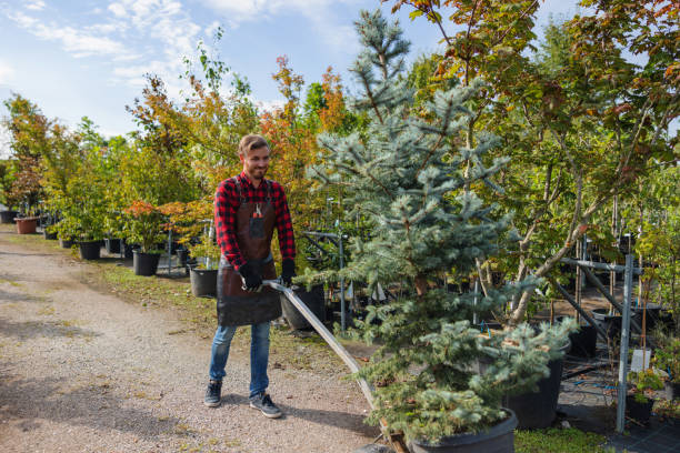 Best Pest Control for Lawns  in Philomath, OR